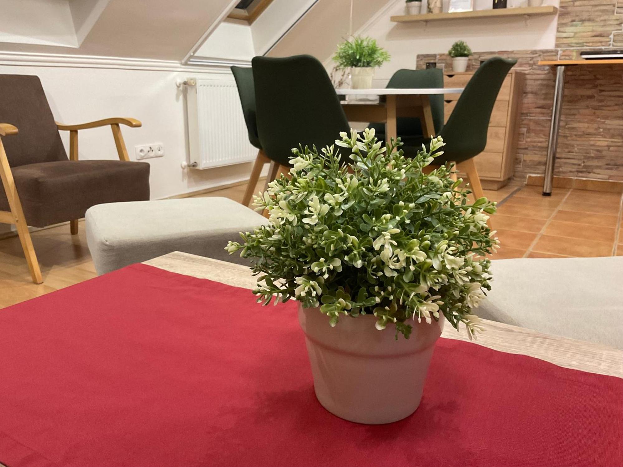 Sport Apartman Hajdúszoboszló Eksteriør billede